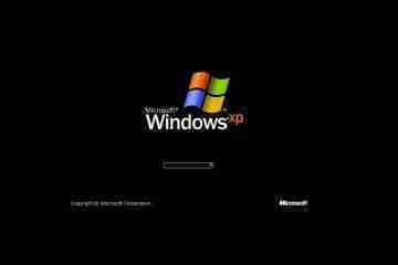 Windows XP and Server 2003 Compiled From Leaked Source Code