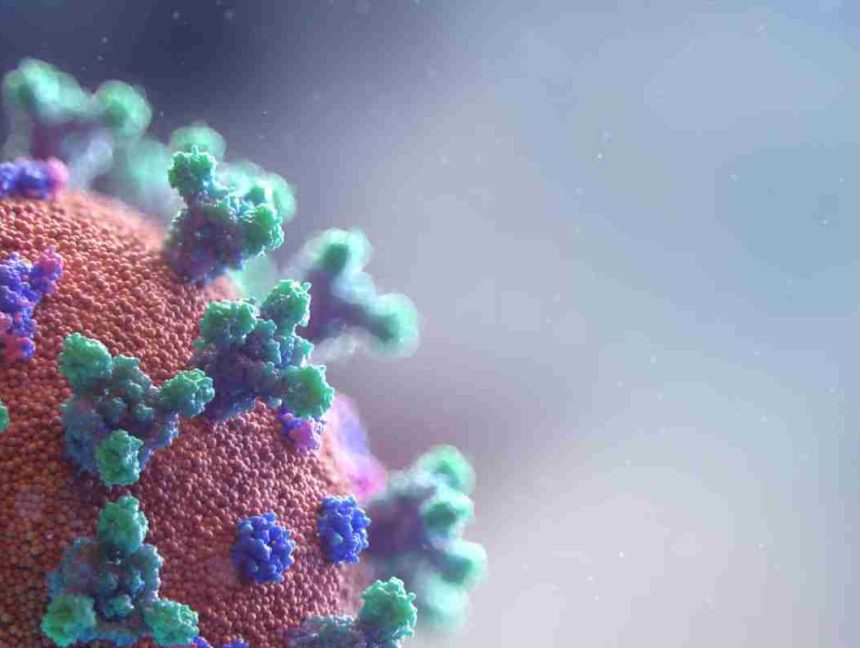 Hackers Leak Stolen Pfizer COVID-19 Vaccine Data Online