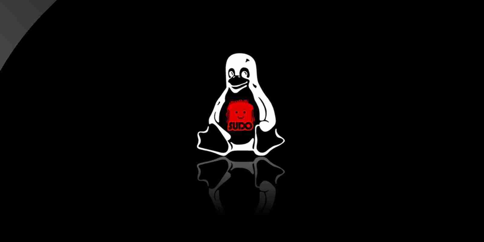 New Linux SUDO Flaw Lets Local Users Gain Root Privileges