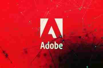 Adobe Issues Security Updates For 41 Vulnerabilities in 10 Products