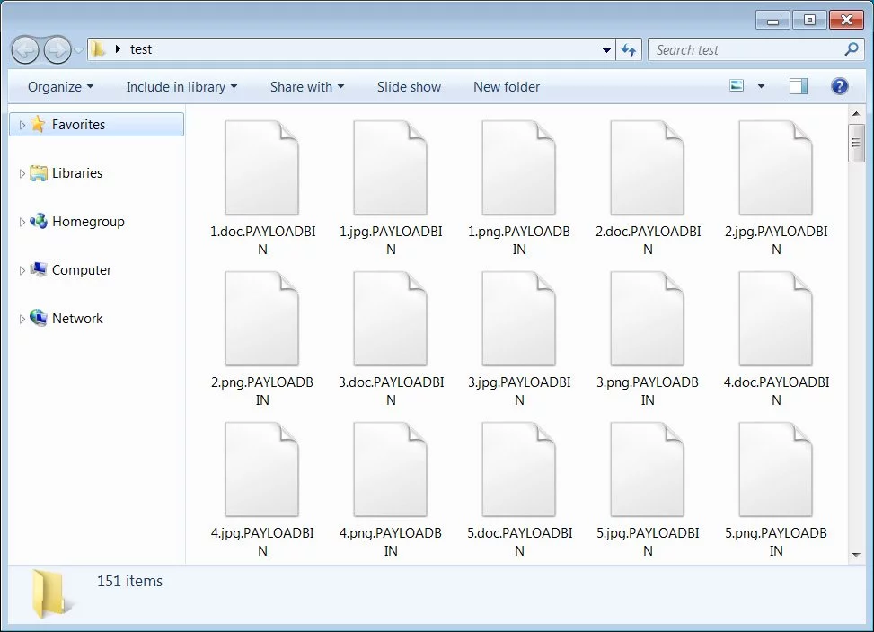 Files encrypted by PayloadBIN