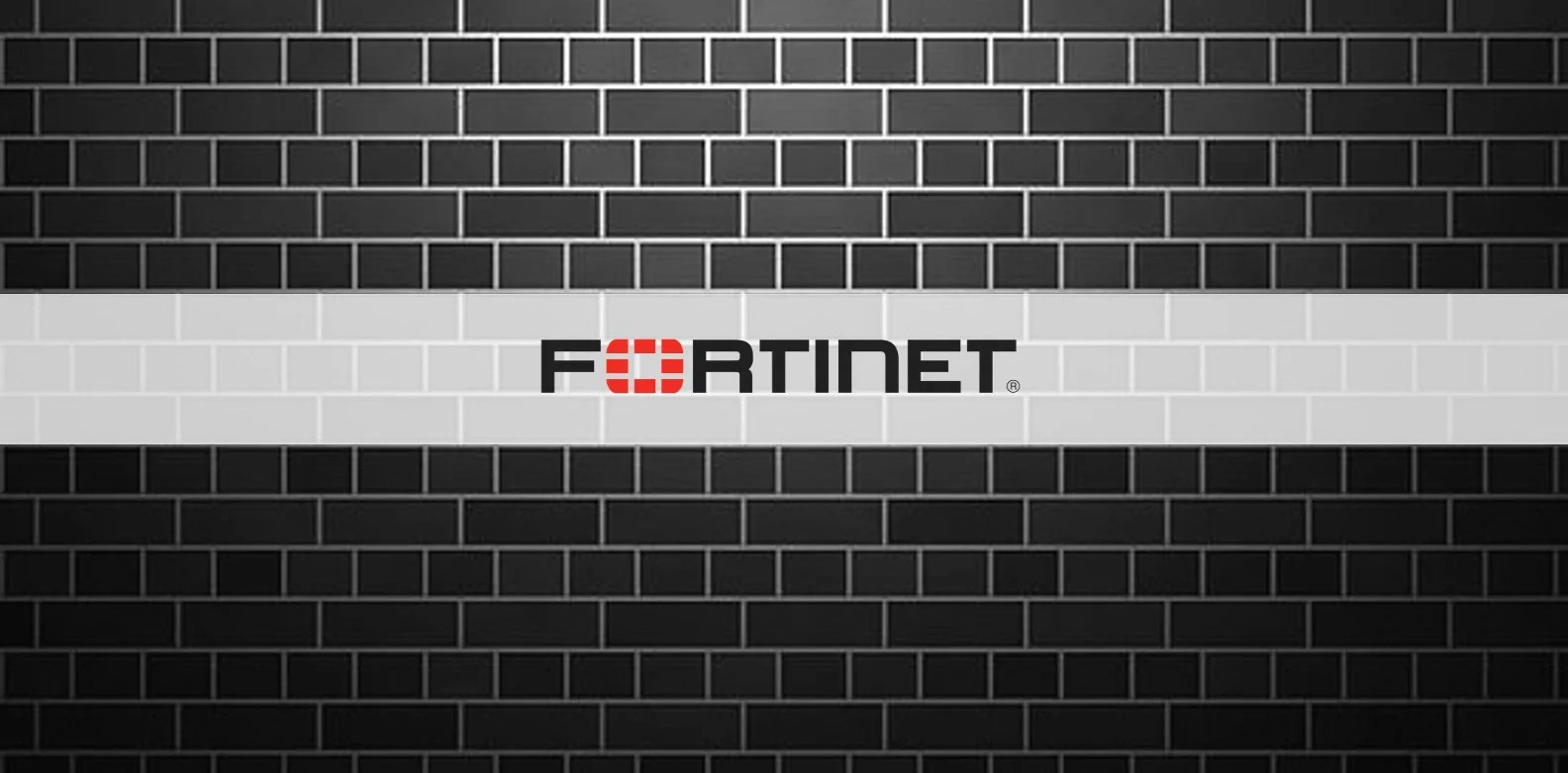 Hackers Leak Passwords for 500,000 Fortinet VPN Accounts