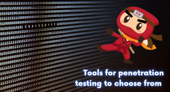 Tools for penetration testing to choose from