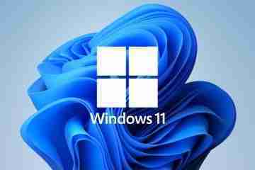 Windows 11 KB5006674 Update Released With Compatibility Fixes