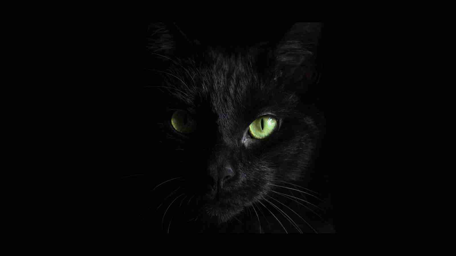 ALPHV BlackCat – This Year’s Most Sophisticated Ransomware