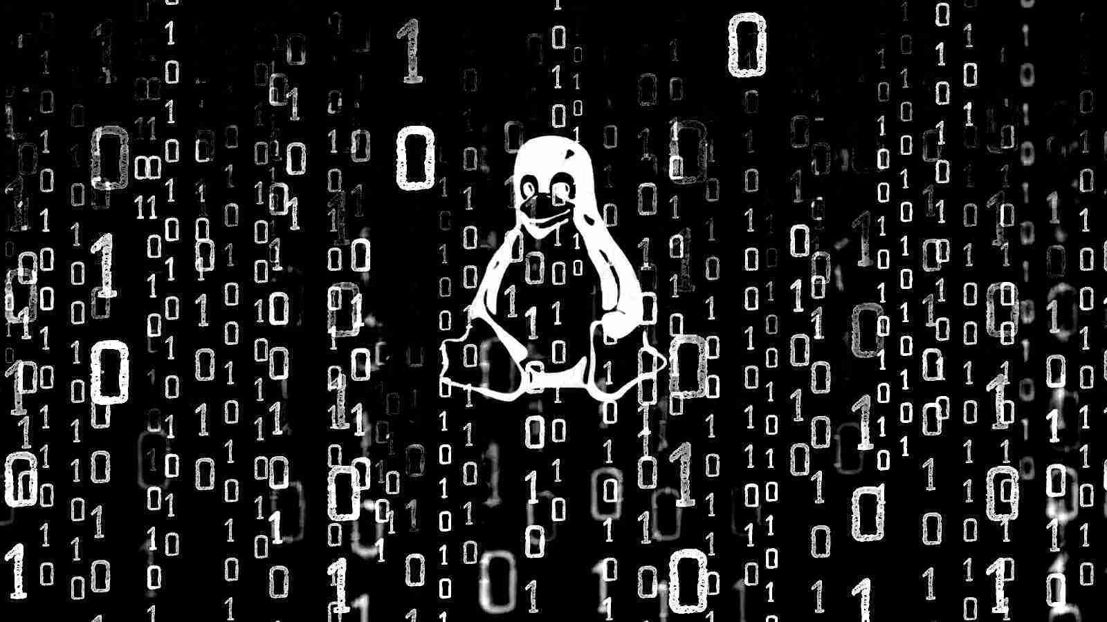 CWP Bugs Allow Code Execution as Root on Linux Servers, Patch Now