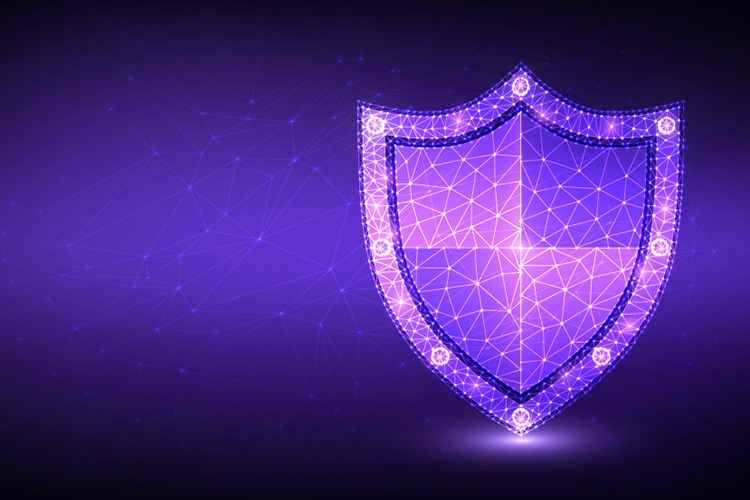 Penetration Testing