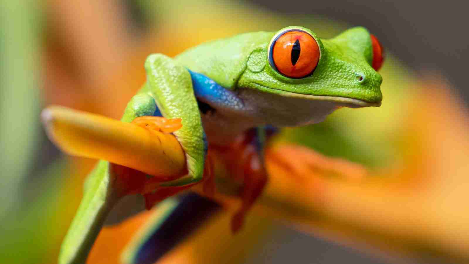 FritzFrog Botnet Grows 10x, Hits Healthcare, Edu, and Govt Systems