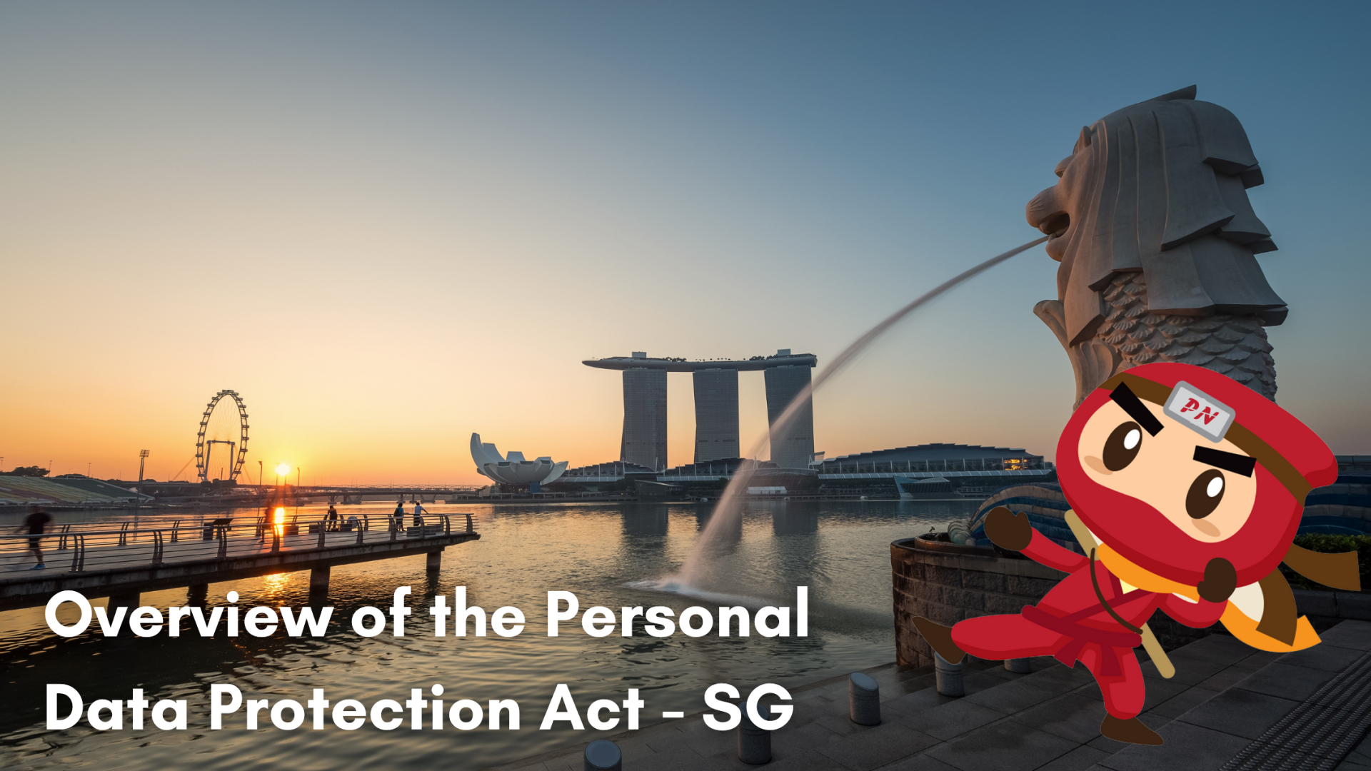 Overview of the Personal Data Protection Act – SG