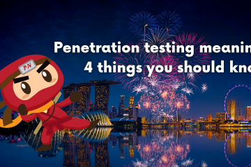 Penetration testing meaning
