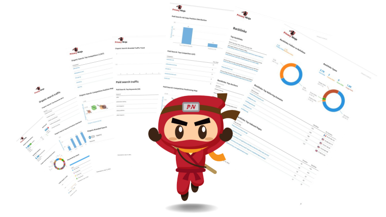 Privacy Ninja Competitor Analysis Report