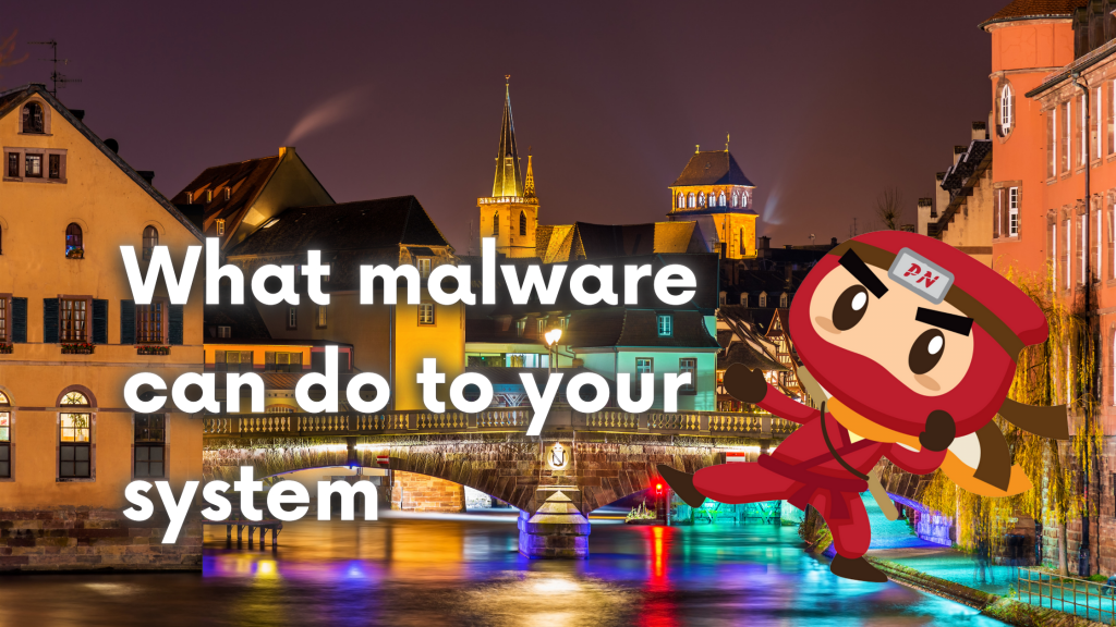 what malware can do